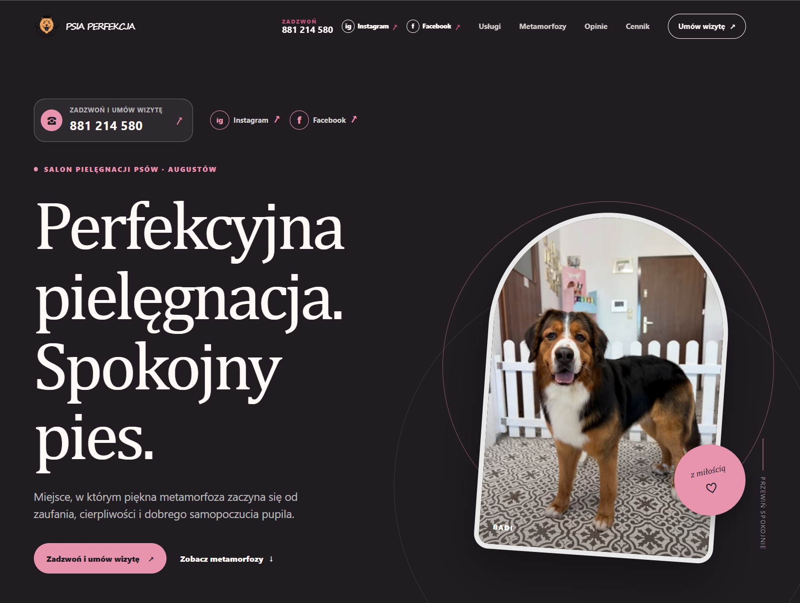 Podgląd usługi Strony, które pracują na markę