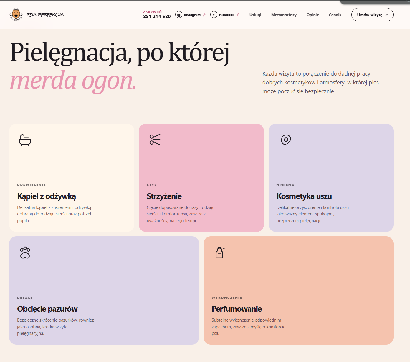 Materiał usługi Strony, które pracują na markę